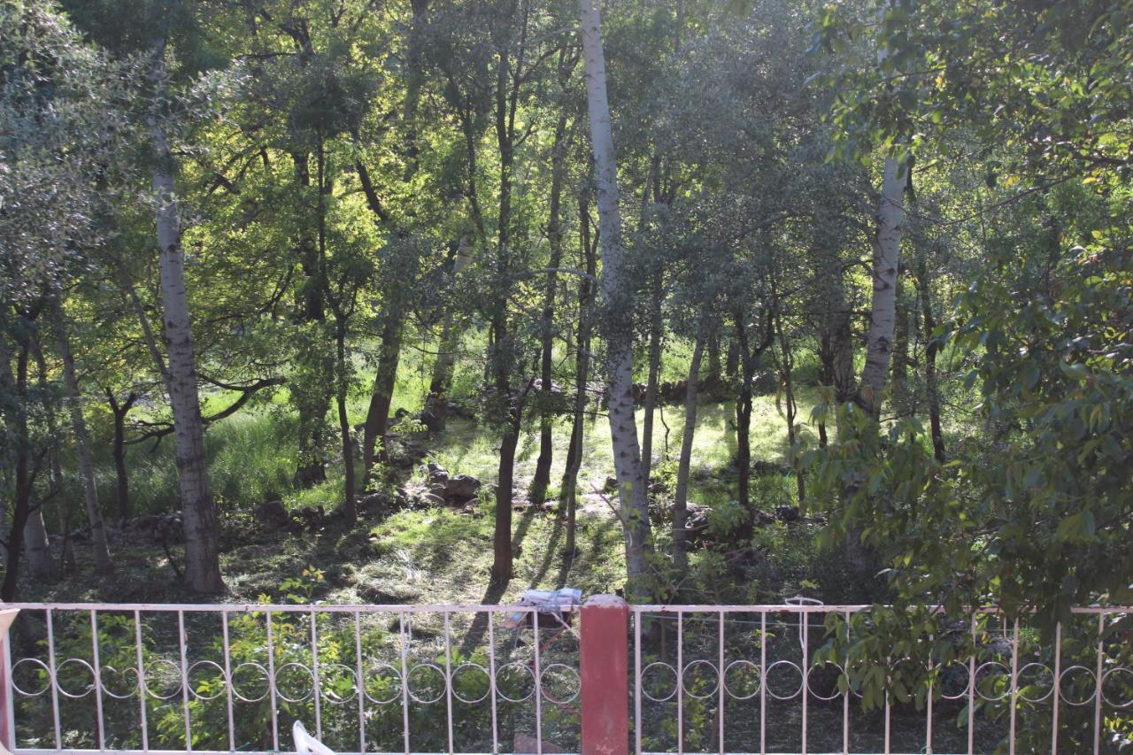 Auberge Toubkal Amsouzart Aitst Idar Tizgui Экстерьер фото
