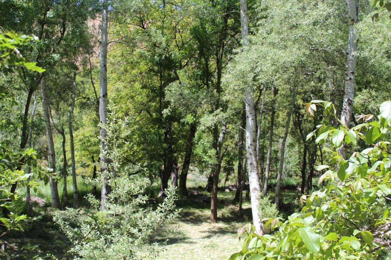 Auberge Toubkal Amsouzart Aitst Idar Tizgui Экстерьер фото